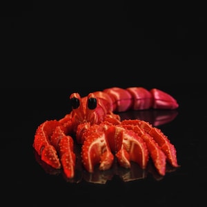 3-D printed Mini Articulated Hermit Crab