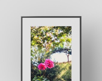 Elegancki kwiat dalii – botaniczna sztuka ścienna, fotografia przyrodnicza, pobieranie cyfrowe