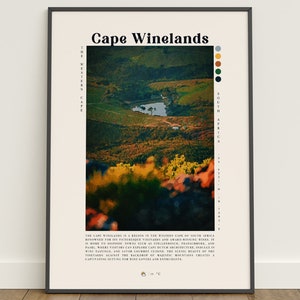Op de afbeelding: Een poster met een foto van glooiende heuvels en wijngaarden in de regio Cape Winelands in Zuid-Afrika. De tekst op de poster luidt "Cape Winelands" en "The Western Cape, South Africa".