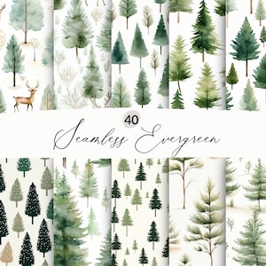Motifs sans couture d'arbres à feuilles persistantes, Arrière-plan de forêt sans couture, Pins sans couture, Scrapbooking numérique, Conception de tissu, Usage commercial