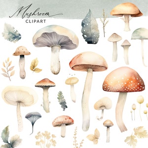 Watercolor Mushroom Clipart, Boho Mushroom Clipart, Mushroom Clip Art, Mushroom PNG Images, Clipart Mushroom Watercolor Files Digital