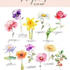 Imágenes PNG de flores del mes de nacimiento de acuarela, cartel imprimible de imágenes prediseñadas de flores de nacimiento, imágenes prediseñadas de flores de nacimiento, descarga instantánea