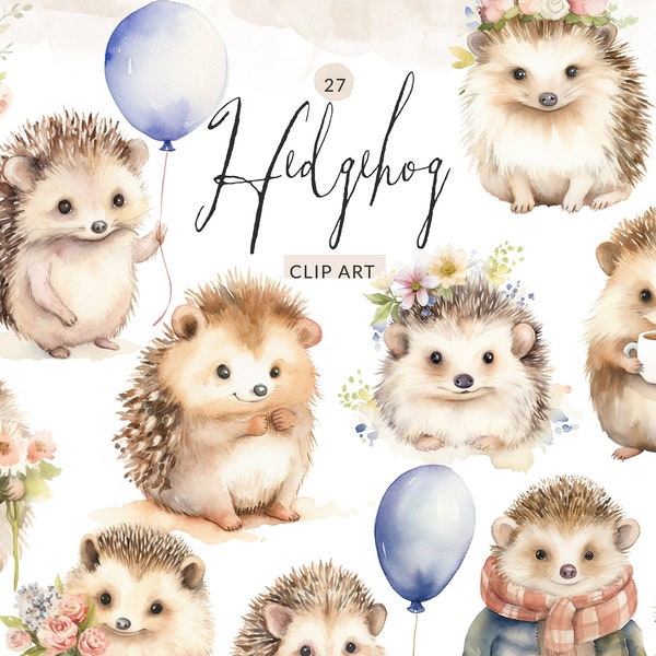 Watercolor Hedgehog Clipart, Cute Hedgehog PNG, Baby Hedgehog Clipart, Hedgehog Digital Download, Commercial Use