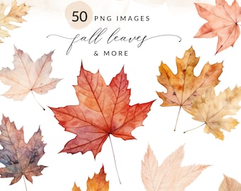 Watercolor Fall Leaves PNG Clipart, Watercolor Fall Leaves Clipart Collection, Autumn Leaves Clipart, Commercial Use, Instant Download