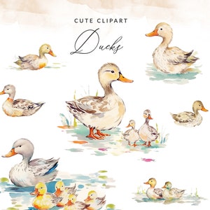 Mignon aquarelle canards Clipart, canards peints PNG, canard Clipart, canard Clip Art, images PNG, utilisation commerciale, téléchargement instantané