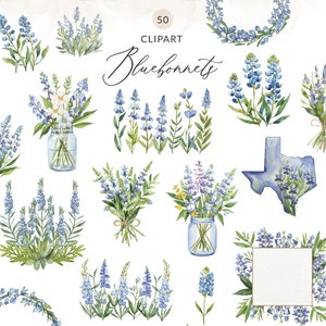 Watercolor Bluebonnet Clipart, Cute Bluebonnet Clipart, Bluebonnet PNG Images, Spring Bluebonnet Clip Art, Texas Bluebonnets PNG Images