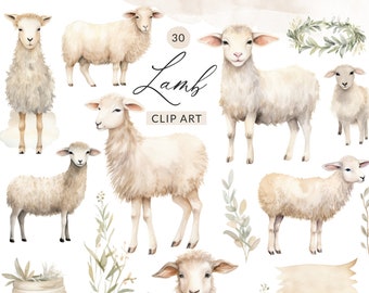 30 Watercolor Lamb Clipart, Lamb PNG, Cute Lamb Clip Art PNG Clipart, Boho Sheep Clipart, Cute Sheep, Commercial Use, Instant Download