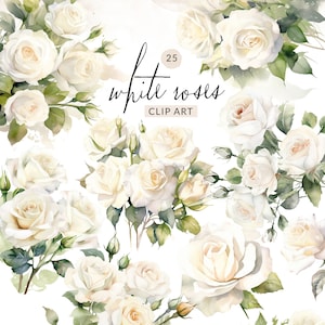 Watercolor White Roses Clipart Watercolor Roses, Neutral Roses Clipart, Wedding Boho Bouquet Clipart, White Roses PNG, Digital Files