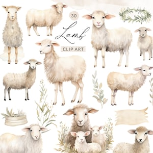 30 Clipart di agnello acquerello, PNG di agnello, Clipart PNG di agnello carino, Clipart di pecora Boho, pecora carina, uso commerciale, download istantaneo
