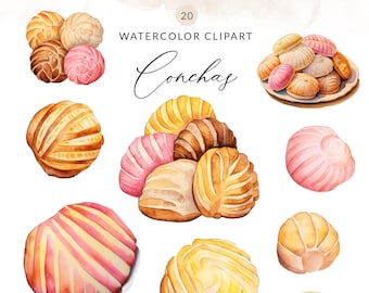 20 Watercolor Conchas Clipart, Pan Dulce, Cute Concha Bread Clip Art Concha Pastries, Mexican Panaderia PNG, Mexican Pastries