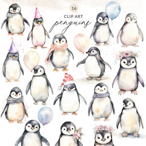 Watercolor Penguin Clipart, Cute Penguin PNG, Baby Penguin Clipart, Penguin Digital Download, Commercial Use Penguins