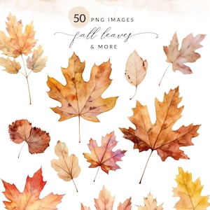 watercolor fall leaves PNG, fall leaves, fall leaves clipart, watercolor fall leaves clipart