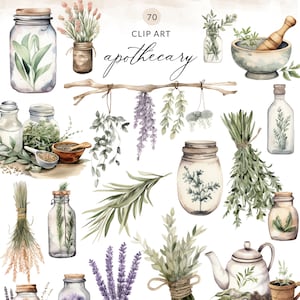 70 imagens PNG de clipart de boticário em aquarela, arquivos de clipart de boticário, clipart de boticário boho, clipart de ervas, clipart de chá de ervas