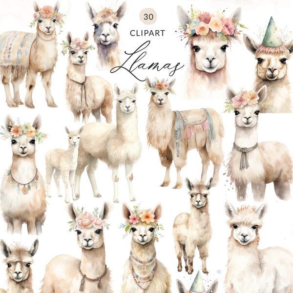 Watercolor Alpaca Clipart, Cute Llama PNG, Baby Alpaca Clipart, Llama Digital Download, Commercial Use Llama Clipart, Alpaca Clip Art