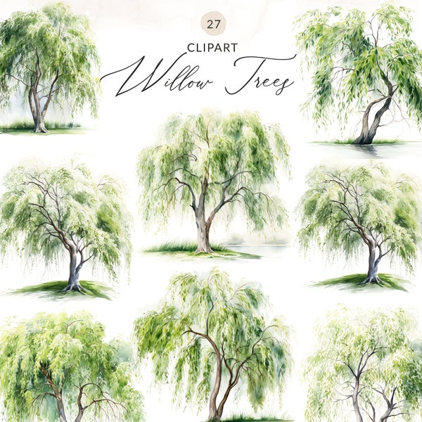 Watercolor Willow Tree Clipart, Weeping Willow PNG Willow Tree Clip Art, Tree With Base Clipart, Romantic Tree PNG, Willow Tree PNG Images