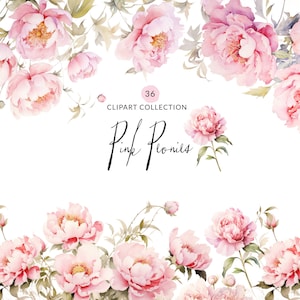 Acuarela rosa peonía clipart marcos de peonía y peonía fronteras colección de imágenes prediseñadas, marcos de peonía acuarela clip art, peonías rosas clip art set