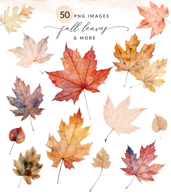 Watercolor Fall Leaves PNG Clipart, Watercolor Fall Leaves Clipart Collection, Autumn Leaves Clipart, Commercial Use, Instant Download