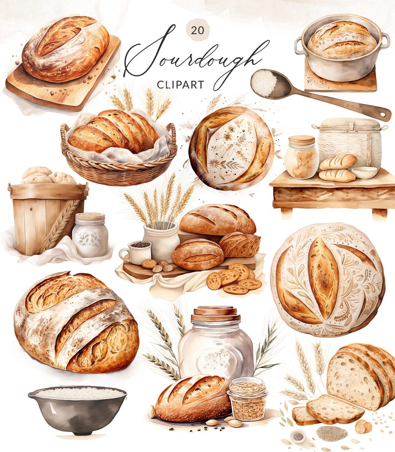 sourdough clipart, watercolor sourdough clipart, sourdough clip art, sourdough loaf png, brad baking clipart, bread baker clip art