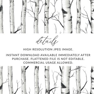 Birch Tree Seamless Pattern White Trees Aspen Tree Pattern Background ...