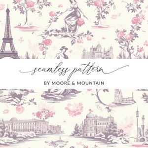Rosa Toile Musterdesign, eleganter Toile Musterdesign, nahtlose französisches Muster, elegantes Hochzeitsmuster, französischer Hintergrund