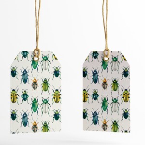 Seamless Bug Pattern Watercolor Bugs Seamless Pattern, Cute Beetles ...