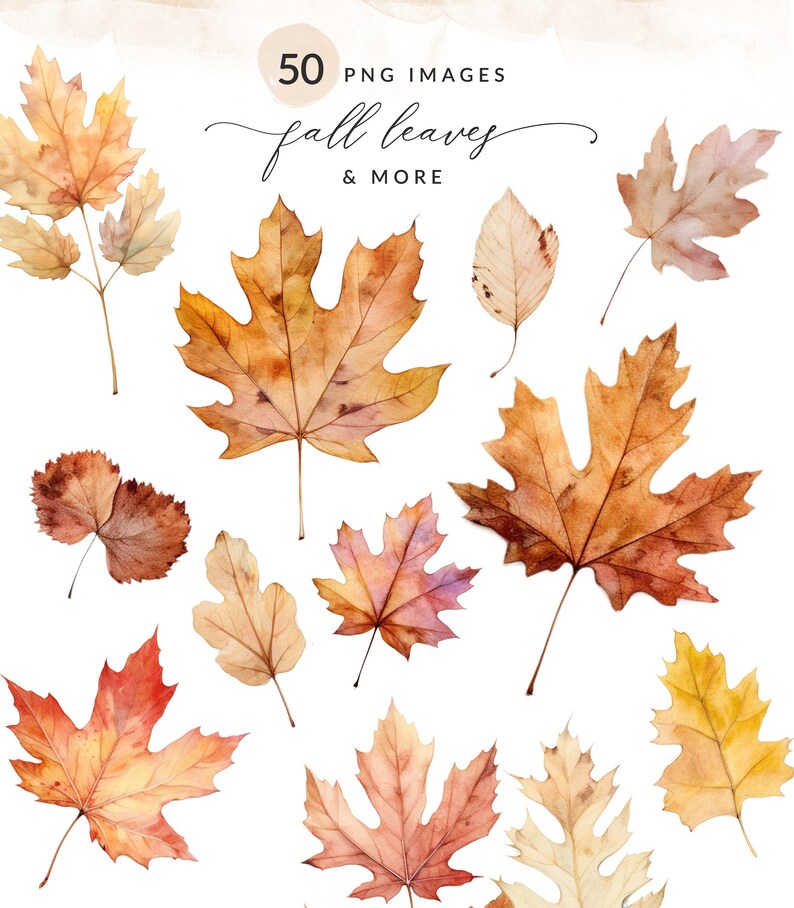 watercolor fall leaves PNG, fall leaves, fall leaves clipart, watercolor fall leaves clipart