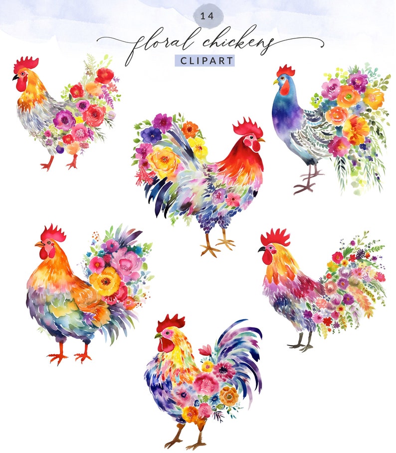 watercolor chicken clipart, painted chicken clipart, floral chickens, poultry clipart, watercolor chicken wall art