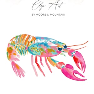 May include: A vibrant watercolour illustration of a lobster, featuring shades of pink, orange, and blue. The image is labelled with the text "Clip Art" and "By Moore & Mountain" in a decorative script.