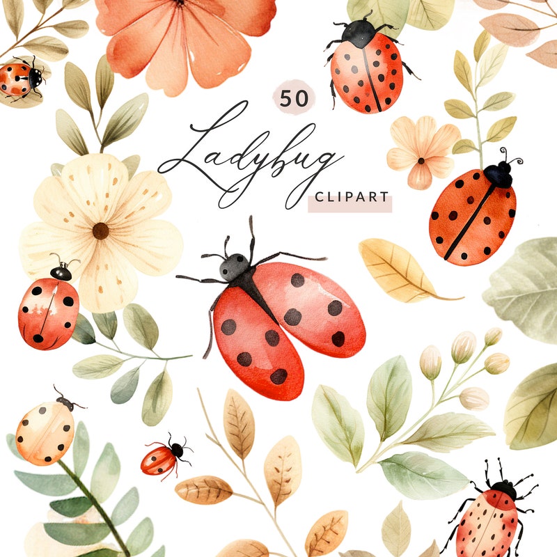 Ladybug Clip Art - Etsy