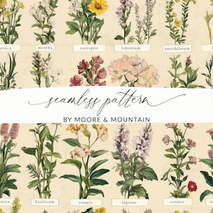 Pode incluir: Um padrão sem costura com ilustrações botânicas vintage de várias flores, incluindo flores rosa, roxas, amarelas e vermelhas. O padrão é rotulado como "seamless pattern" e "BY MOORE & MOUNTAIN".