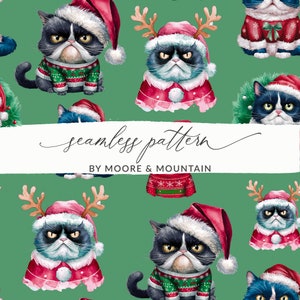 Motif de fond de chat fou, fond de Noël drôle de chat de Noël pour un usage commercial, papier peint sans couture de chat en colère