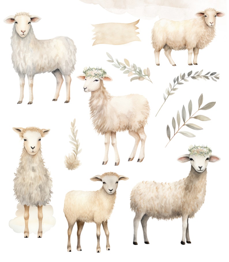 May include: Watercolor illustration of five sheep with different poses and expressions. Some sheep have floral wreaths around their heads. The illustration also includes several sprigs of greenery.
