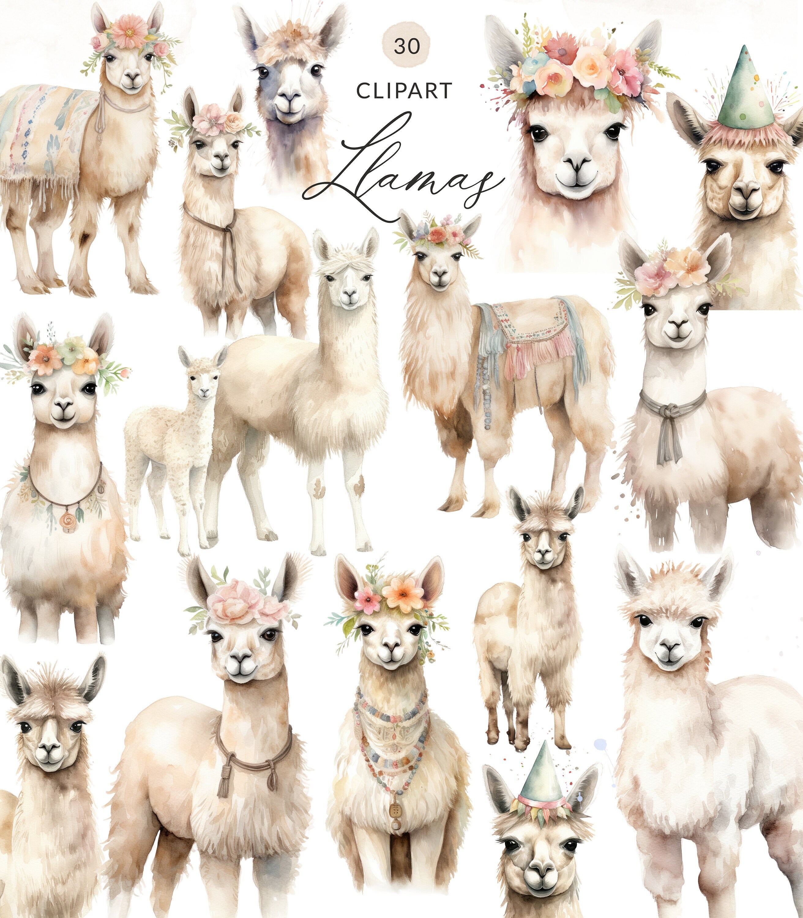 Watercolor Alpaca Clipart, Cute Llama PNG, Baby Alpaca Clipart, Llama Digital Download, Commercial Use Llama Clipart, Alpaca Clip Art
