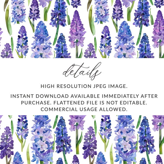 水彩画原画ヒヤシンス 自作絵画 原画【ヒヤシンス】水彩画 色鉛筆画