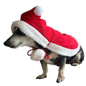 Puede incluir: Un pequeño perro blanco y negro con un disfraz de Papá Noel rojo y blanco. El disfraz tiene un borde de piel blanca y un pompón blanco en el gorro.