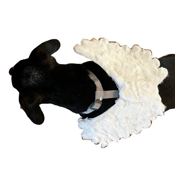 Dog angel wings harness hot sale
