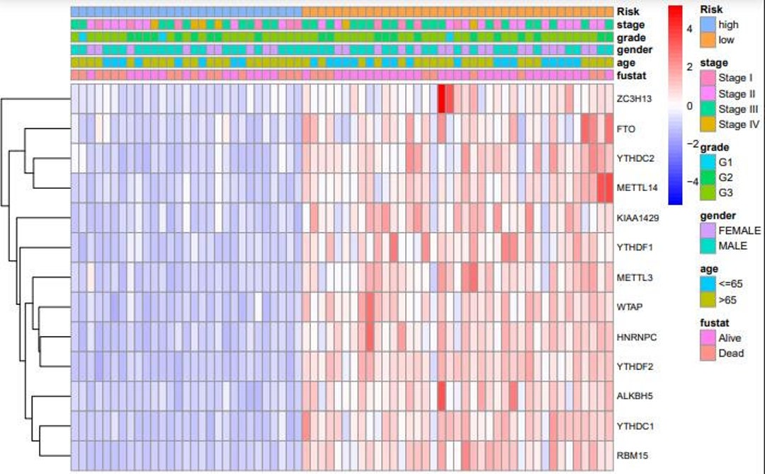 Python Bioinformatic Graphs Easybioplot: 50-in-1 R Program Pack for Graphs of Bioinformatic ...