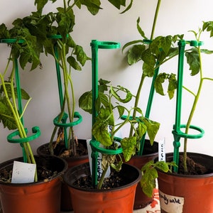 Set of Six Plant Supports
