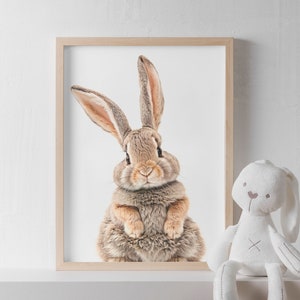 Cute Bunny Print, Nursery Wall Art, Baby Animal Posters, Woodland Digital Instant Download