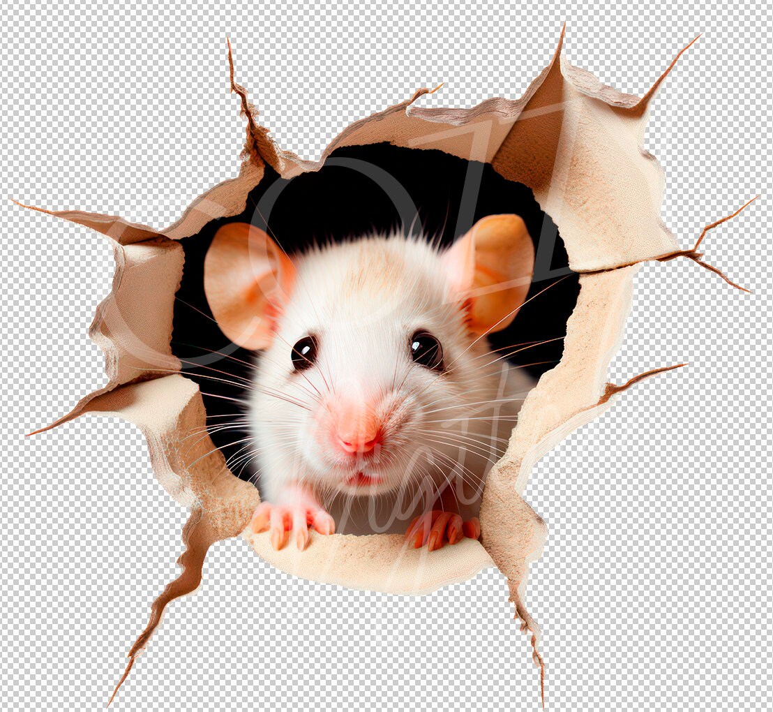 Realist Mouse Hole Printable Wall Decal Sticker Wall Decor Etsy Realist Mouse Hole Printable Wall Decal Sticker Wall Decor Etsy