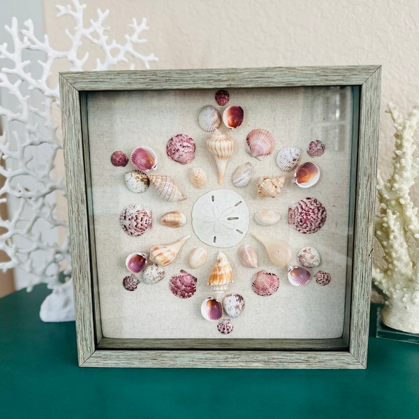 Seashell Collection Shadowbox Framed Wall Art