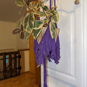 FRINGE MACRAME Plant Hanger •  Color Pop Plant Hanger • Space Saving Home Decor • Practical Art •