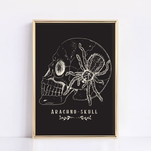 May include: A black and white illustration of a skull with a spider on it. The text "ARACHNO-SKULL" is below the image.