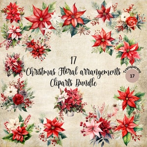 Pacote de clipart floral de Natal | Buquê de flores de Natal | Arranjo floral de inverno,Download instantâneo para uso comercial,Ilustração digital
