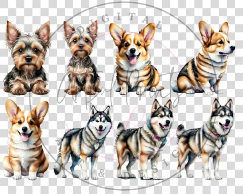 48 Watercolor Dogs Bundle Cliparts Sublimation, Dog Breeds PNG File ...