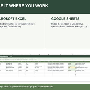 Cow Calf Record Keeping Spreadsheet | Cattle Herd Tracker for Calving, Weights, Vaccinations | Excel & Google Sheets Ranch Records image 6