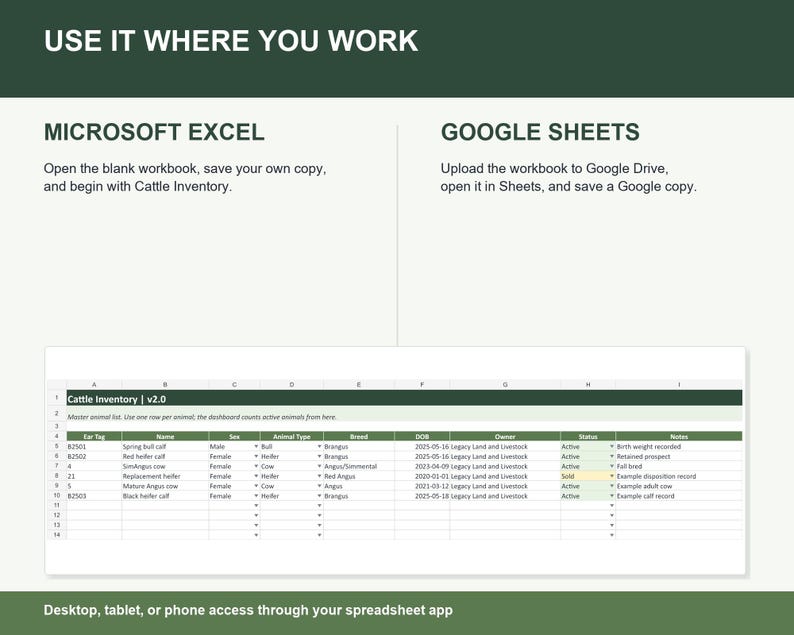 Cow Calf Record Keeping Spreadsheet | Cattle Herd Tracker for Calving, Weights, Vaccinations | Excel & Google Sheets Ranch Records image 6