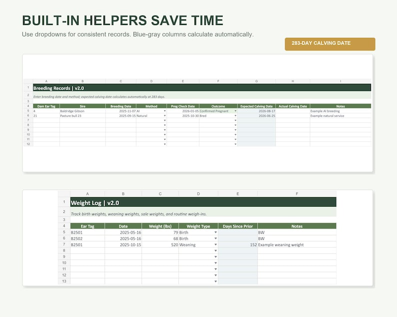 Cow Calf Record Keeping Spreadsheet | Cattle Herd Tracker for Calving, Weights, Vaccinations | Excel & Google Sheets Ranch Records image 4