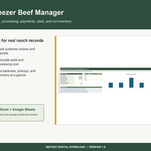 Op de afbeelding: Een digitaal spreadsheet-sjabloon genaamd Freezer Beef Manager voor het bijhouden van verkoop, verwerking, betalingen, opbrengst en voorraad van rundvlees. De interface bevat een dashboard met gegevenstabellen en een staafdiagram.
