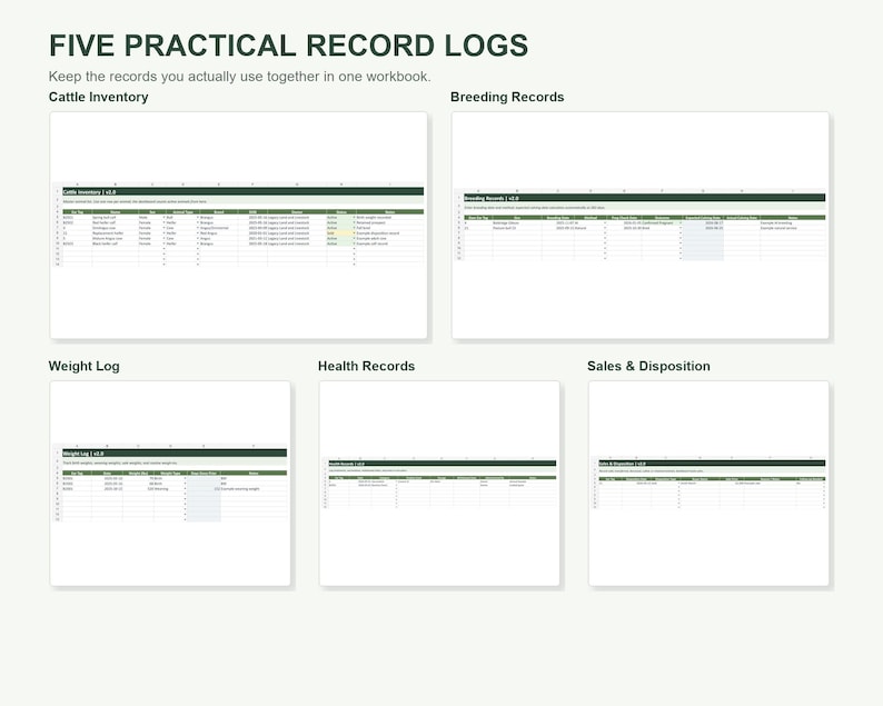 Cow Calf Record Keeping Spreadsheet | Cattle Herd Tracker for Calving, Weights, Vaccinations | Excel & Google Sheets Ranch Records image 3